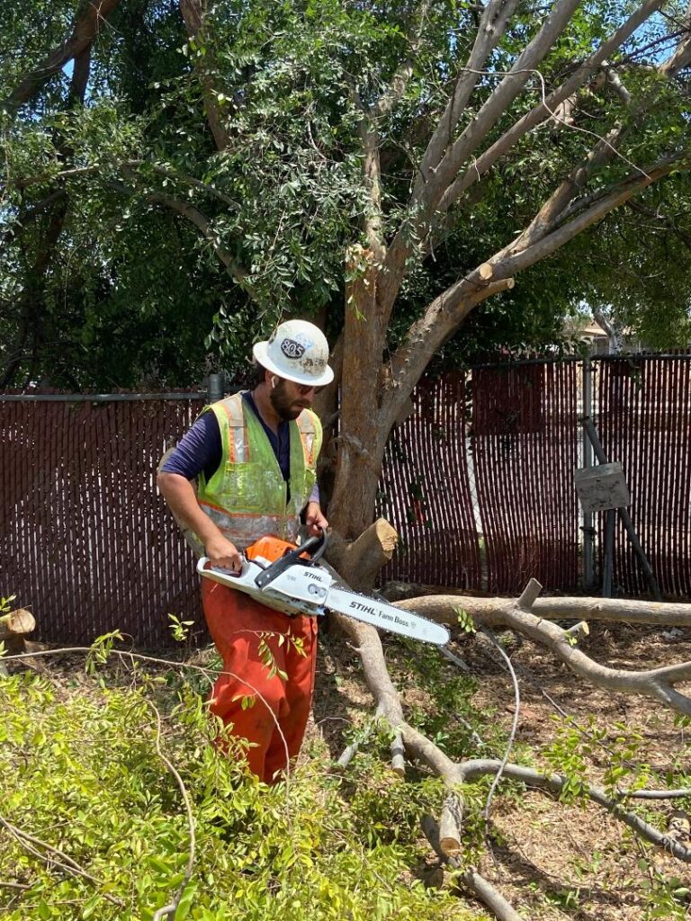 Mayfield Environmental Solutions | Blog: Tree Removal and Fence Repair on Brownfields Mayfield Environmental Solutions | Blog: Tree Removal and Fence Repair on Brownfields