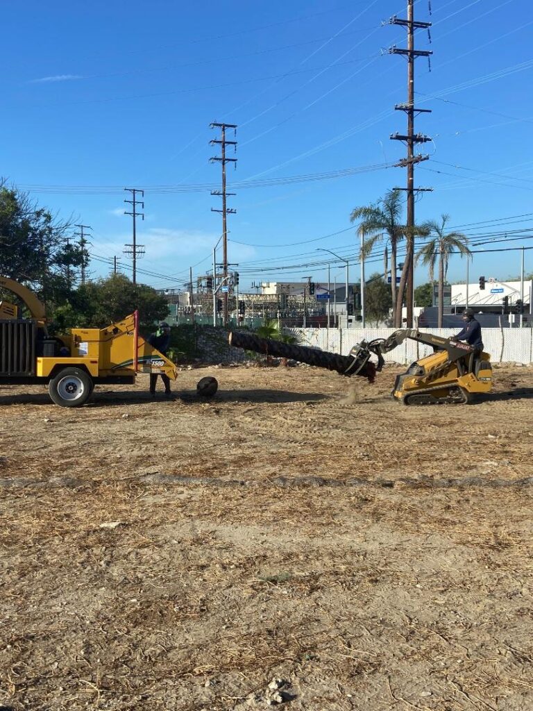 Mayfield Environmental Solutions | Blog: Tree Removal and Fire Mitigation on Brownfields and Homeless Encampments Mayfield Environmental Solutions | Blog: Tree Removal and Fire Mitigation on Brownfields and Homeless Encampments