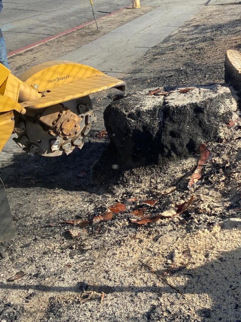 Mayfield Environmental Solutions | Blog: Tree Removal and Fire Mitigation on Brownfields and Homeless Encampments Mayfield Environmental Solutions | Blog: Tree Removal and Fire Mitigation on Brownfields and Homeless Encampments