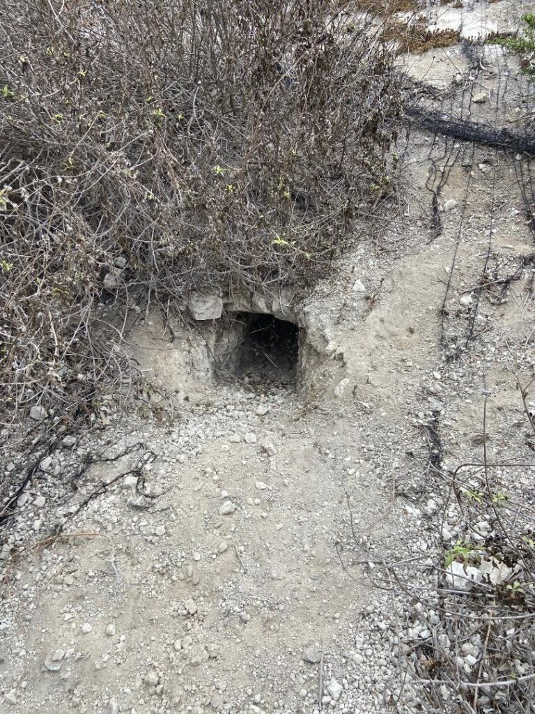 Mayfield Environmental Solutions | Blog: Bioremediation, Brownfield Wildlife Study, SWPPP Erosion Protection Mayfield Environmental Solutions | Blog: Bioremediation, Brownfield Wildlife Study, SWPPP Erosion Protection