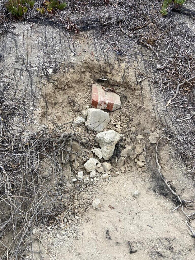 Mayfield Environmental Solutions | Blog: Bioremediation, Brownfield Wildlife Study, SWPPP Erosion Protection Mayfield Environmental Solutions | Blog: Bioremediation, Brownfield Wildlife Study, SWPPP Erosion Protection