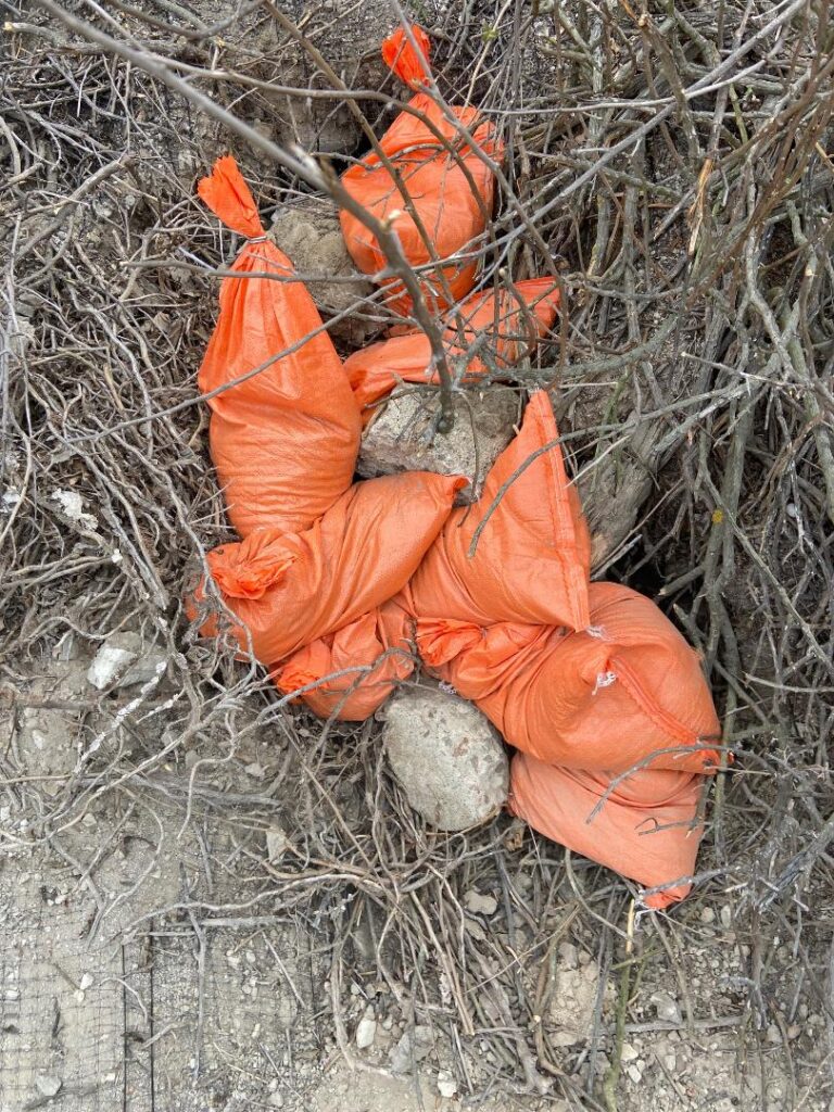 Mayfield Environmental Solutions | Blog: Bioremediation, Brownfield Wildlife Study, SWPPP Erosion Protection Mayfield Environmental Solutions | Blog: Bioremediation, Brownfield Wildlife Study, SWPPP Erosion Protection
