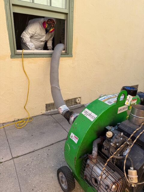 Mayfield Environmental Solutions | Attic Insulation Decontamination, Vacuuming, Removal Mayfield Environmental Solutions | Attic Insulation Decontamination, Vacuuming, Removal