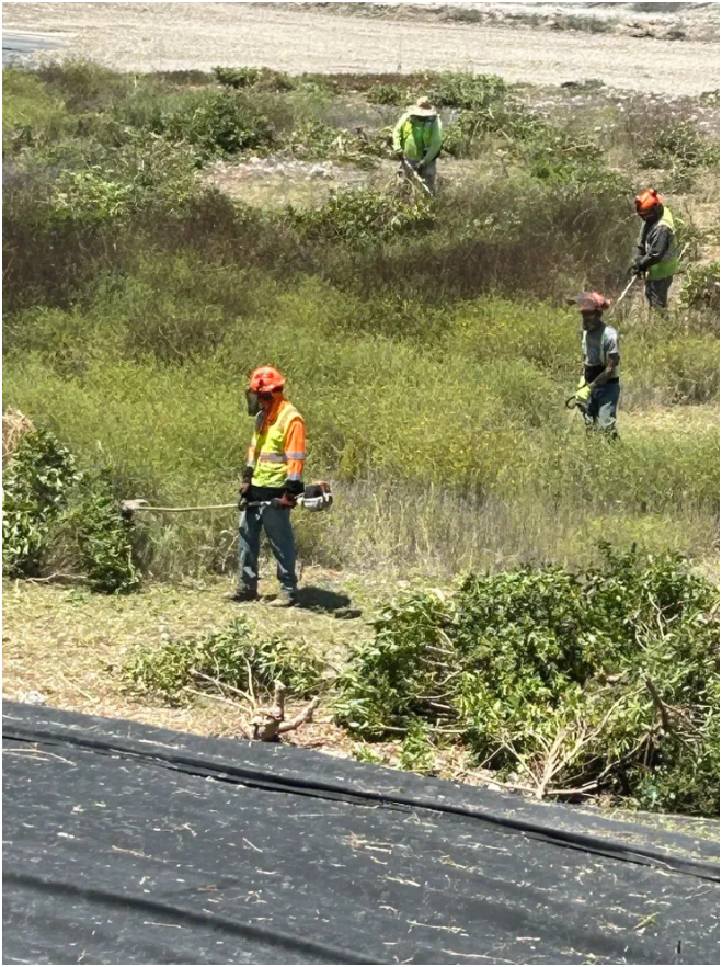 Mayfield Environmental Solutions | Firescaping and Land Clearing after Wildfires Mayfield Environmental Solutions | Firescaping and Land Clearing after Wildfires