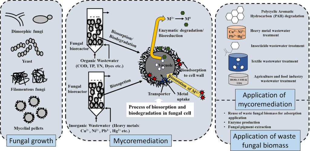 Mayfield Environmental Solutions | Contaminated Soil Stabilization & Bioencapsulation Mayfield Environmental Solutions | Contaminated Soil Stabilization & Bioencapsulation