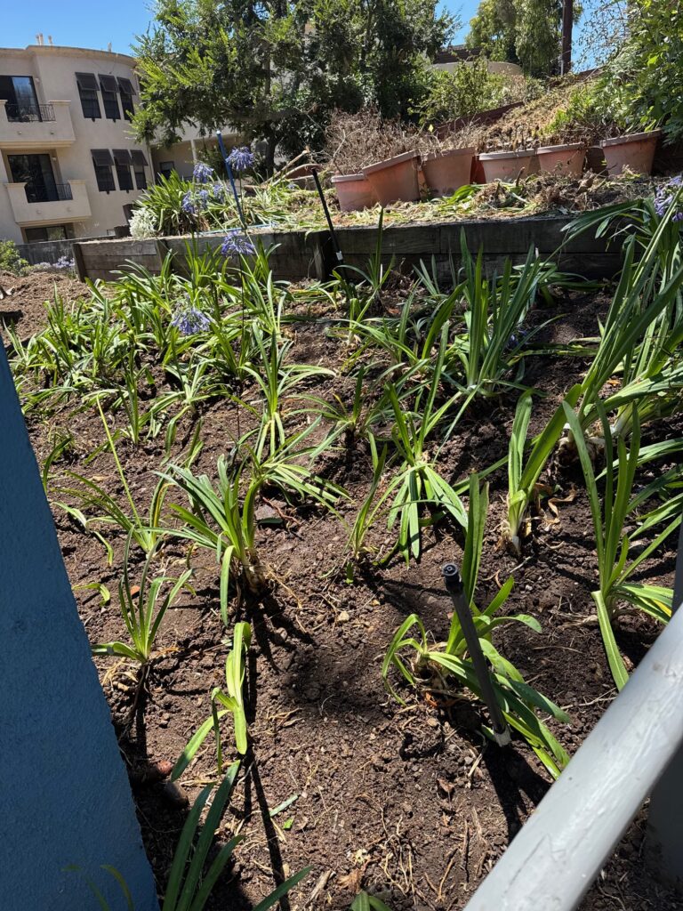 Mayfield Environmental Solutions | Green Infrastructure (GI) & Green Stormwater Infrastructure (GSI) Mayfield Environmental Solutions | Green Infrastructure (GI) & Green Stormwater Infrastructure (GSI)