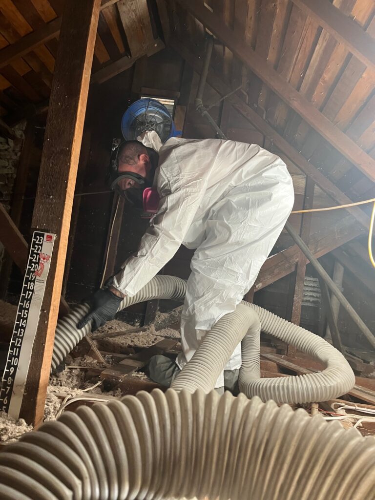 Mayfield Environmental Solutions | Attic Insulation Decontamination, Vacuuming, Removal