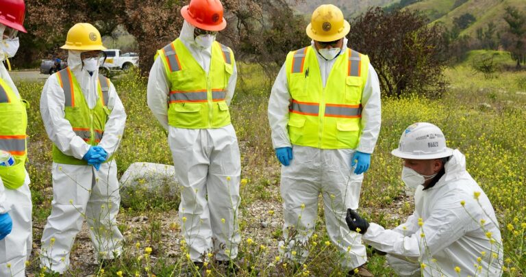 Mayfield Environmental Solutions | Types of Water, Air, Soil Samples We Do Mayfield Environmental Solutions | Types of Water, Air, Soil Samples We Do