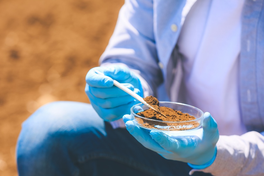 The current standard for lead contamination in California is a maximum of 80 milligrams in each kilogram of soil; higher concentrations than that, and risks exist of children in affected areas developing neurological problems by various means of ingestion of the substance, such as inhaling, absorbing via the skin, or accidently eating it.