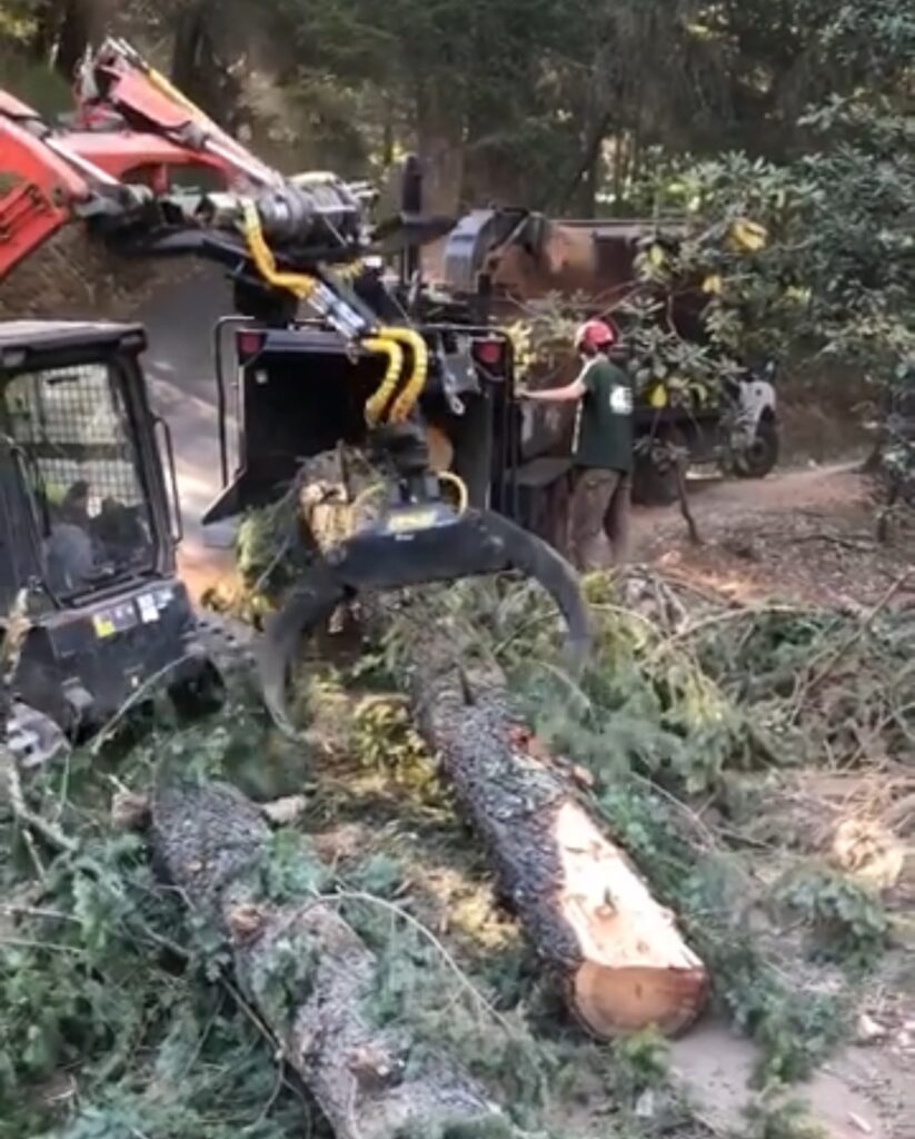 Mayfield Environmental Solutions | Weed Abatement, Landscaping, Land Clearing, Vegetation Control