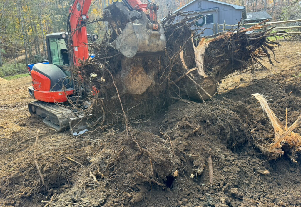 Mayfield Environmental Solutions | Firescaping, Land Clearing, Wildfire Prevention