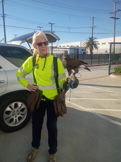Mayfield Environmental Solutions | Pest/Rodent/Bird Flu/Hantavirus Cleanup Mayfield Environmental Solutions | Pest/Rodent/Bird Flu/Hantavirus Cleanup