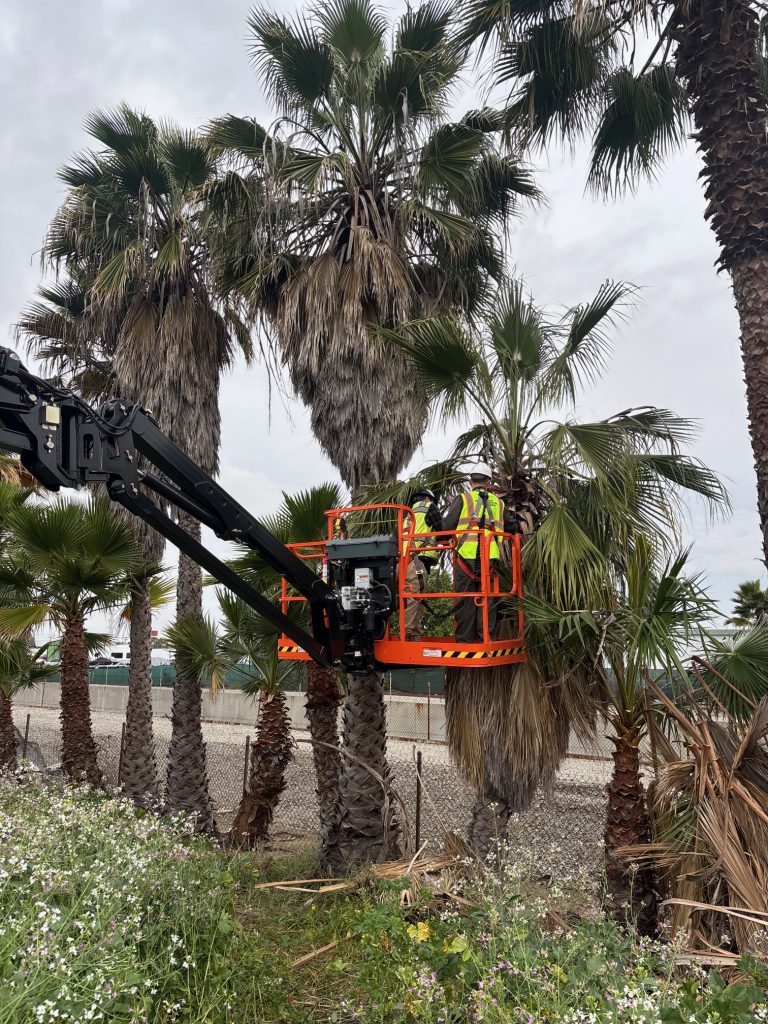 Mayfield Environmental Solutions | Tree Removal, Stump Removal, & Tree Trimming Mayfield Environmental Solutions | Tree Removal, Stump Removal, & Tree Trimming