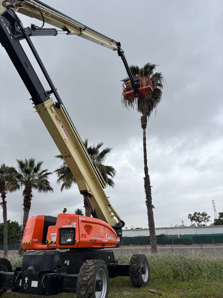 Mayfield Environmental Solutions | Tree Removal, Stump Removal, & Tree Trimming Mayfield Environmental Solutions | Tree Removal, Stump Removal, & Tree Trimming