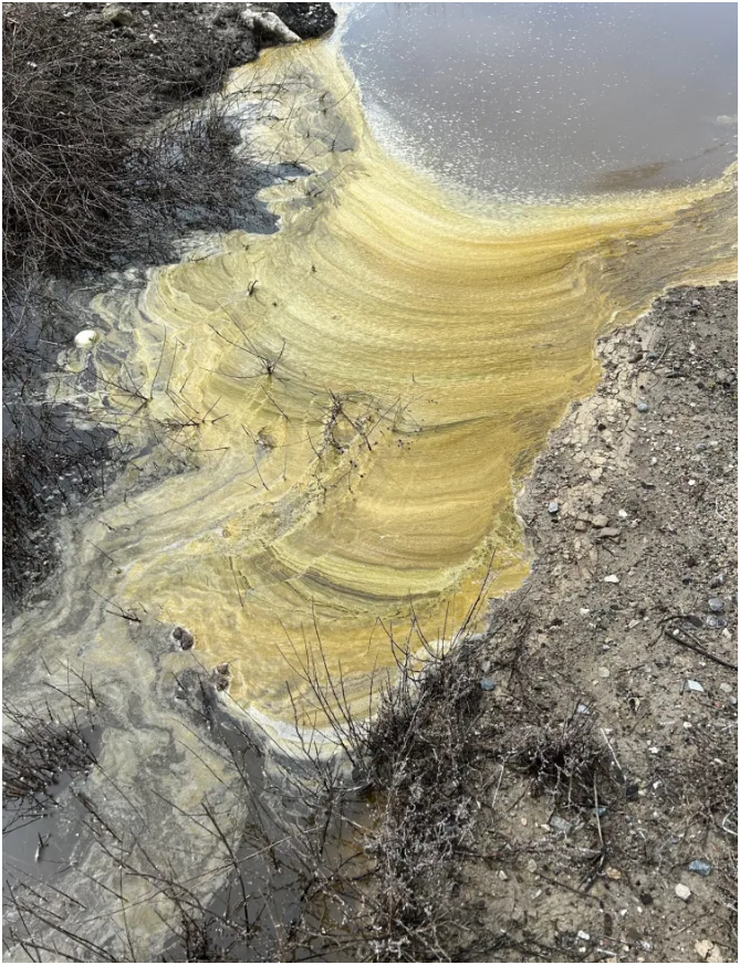 Mayfield Environmental Solutions | Commercial Mosquito and Vector Control Mayfield Environmental Solutions | Commercial Mosquito and Vector Control