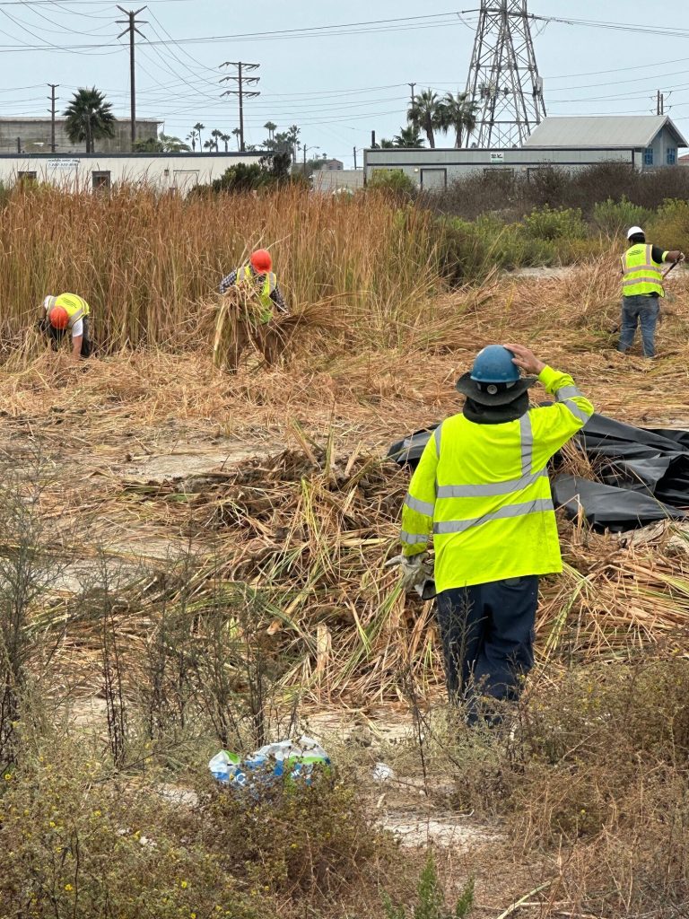 Mayfield Environmental Solutions | Commercial Mosquito and Vector Control Mayfield Environmental Solutions | Commercial Mosquito and Vector Control